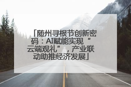 随州寻根节创新密码：AI赋能实现“云端观礼”，产业联动助推经济发展