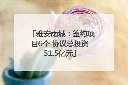 雅安雨城：签约项目6个 协议总投资51.5亿元