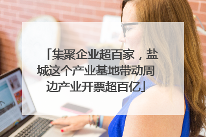 集聚企业超百家，盐城这个产业基地带动周边产业开票超百亿