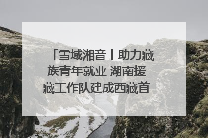 雪域湘音丨助力藏族青年就业 湖南援藏工作队建成西藏首个清洁能源装备园