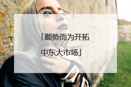 顺势而为开拓中东大市场