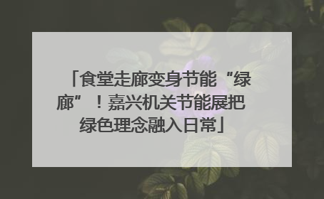 食堂走廊变身节能“绿廊”！嘉兴机关节能展把绿色理念融入日常