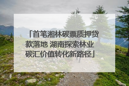 首笔湘林碳票质押贷款落地 湖南探索林业碳汇价值转化新路径