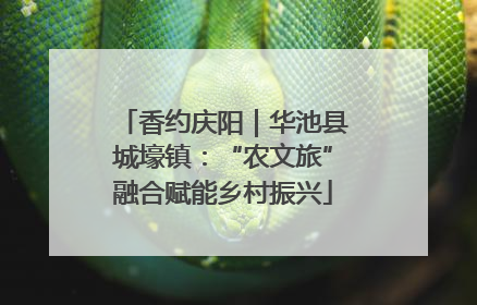 香约庆阳｜华池县城壕镇：“农文旅”融合赋能乡村振兴