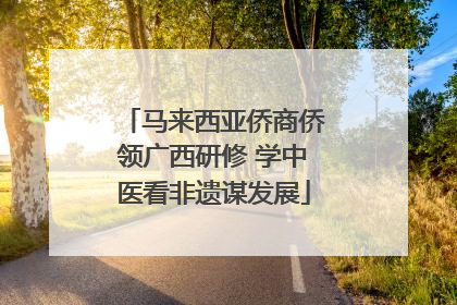 马来西亚侨商侨领广西研修 学中医看非遗谋发展