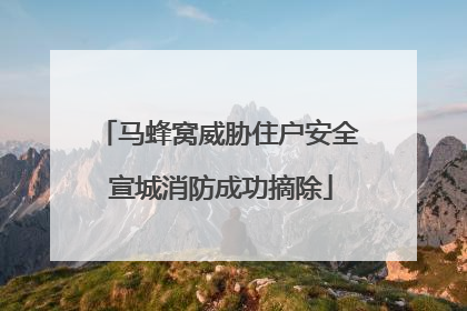 马蜂窝威胁住户安全 宣城消防成功摘除