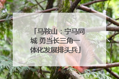 马鞍山：宁马同城 勇当长三角一体化发展排头兵