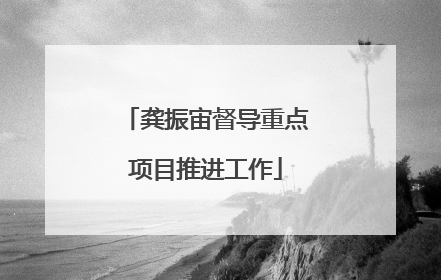 龚振宙督导重点项目推进工作