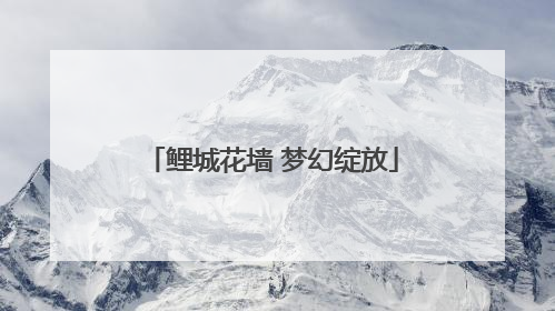 鲤城花墙 梦幻绽放