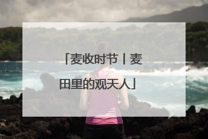 麦收时节丨麦田里的观天人