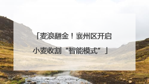 麦浪翻金！襄州区开启小麦收割“智能模式”