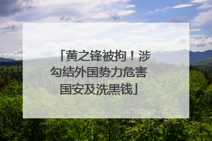 黄之锋被拘！涉勾结外国势力危害国安及洗黑钱
