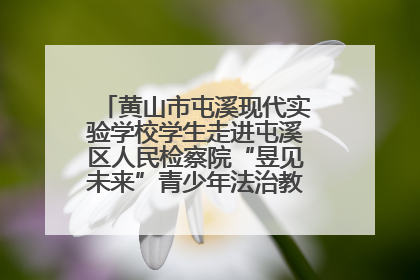 黄山市屯溪现代实验学校学生走进屯溪区人民检察院“昱见未来”青少年法治教育宣传基地
