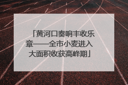 黄河口奏响丰收乐章——全市小麦进入大面积收获高峰期