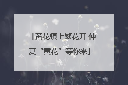 黄花镇上繁花开 仲夏“黄花”等你来
