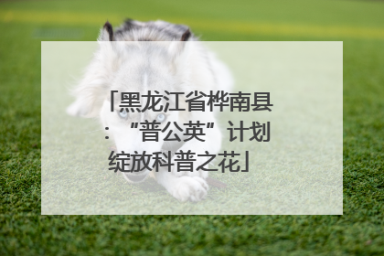 黑龙江省桦南县：“普公英”计划绽放科普之花