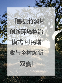 黟县竹溪村创新环境整治模式 村民增收与乡村焕新双赢