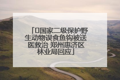 ﻿国家二级保护野生动物误食鱼钩被送医救治 郑州惠济区林业局回应