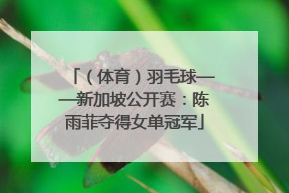 （体育）羽毛球——新加坡公开赛：陈雨菲夺得女单冠军
