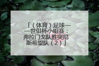 （体育）足球——世俱杯小组赛：弗拉门戈队胜突尼斯希望队（2）