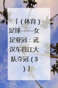 （体育）足球——女足亚冠：武汉车谷江大队夺冠（3）