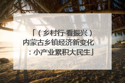 （乡村行·看振兴）内蒙古乡镇经济新变化：小产业累积大民生