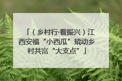 （乡村行·看振兴）江西安福“小西瓜”撬动乡村共富“大支点”