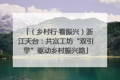 （乡村行·看振兴）浙江天台：共富工坊“双引擎”驱动乡村振兴路