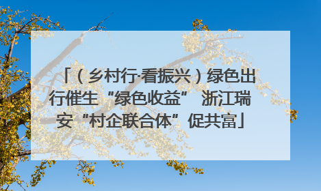 （乡村行·看振兴）绿色出行催生“绿色收益” 浙江瑞安“村企联合体”促共富