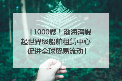 1000艘！渤海湾崛起世界级船舶租赁中心 促进全球贸易流动