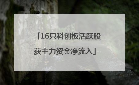16只科创板活跃股获主力资金净流入