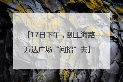 17日下午，到上海路万达广场“问招”去