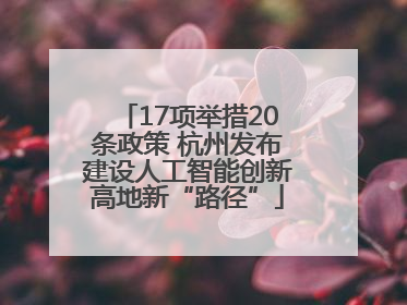 17项举措20条政策 杭州发布建设人工智能创新高地新“路径”