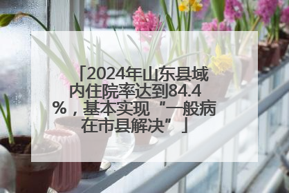2024年山东县域内住院率达到84.4%，基本实现“一般病在市县解决”