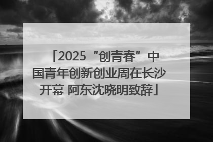 2025“创青春”中国青年创新创业周在长沙开幕 阿东沈晓明致辞