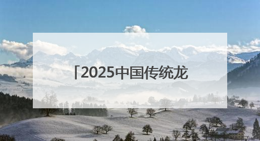 2025中国传统龙舟大赛（贵州·铜仁·碧江）预赛激情启幕