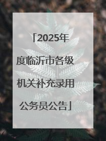2025年度临沂市各级机关补充录用公务员公告