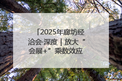 2025年廊坊经洽会·深度｜放大“会展+”乘数效应 打造消费新场景