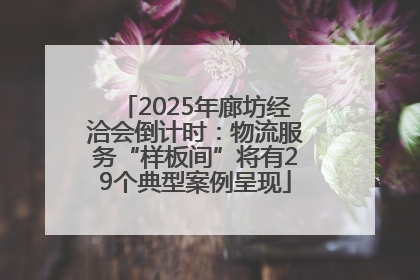 2025年廊坊经洽会倒计时：物流服务“样板间”将有29个典型案例呈现