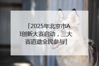 2025年北京市AI创新大赛启动，三大赛道邀全民参与