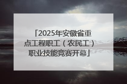 2025年安徽省重点工程职工（农民工）职业技能竞赛开幕