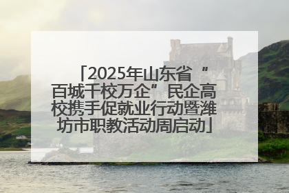 2025年山东省“百城千校万企”民企高校携手促就业行动暨潍坊市职教活动周启动