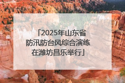 2025年山东省防汛防台风综合演练在潍坊昌乐举行