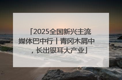 2025全国新兴主流媒体巴中行丨青冈木屑中，长出银耳大产业