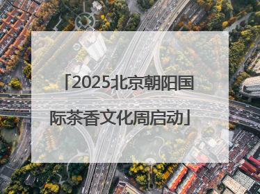 2025北京朝阳国际茶香文化周启动