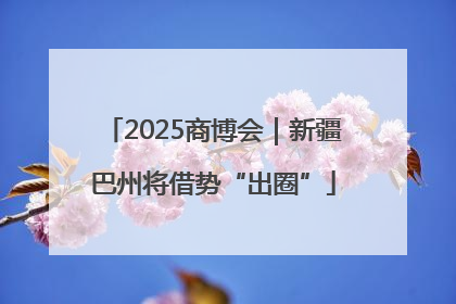 2025商博会｜新疆巴州将借势“出圈”