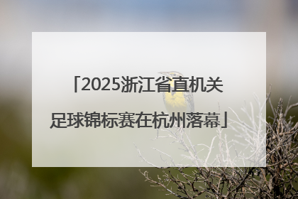 2025浙江省直机关足球锦标赛在杭州落幕