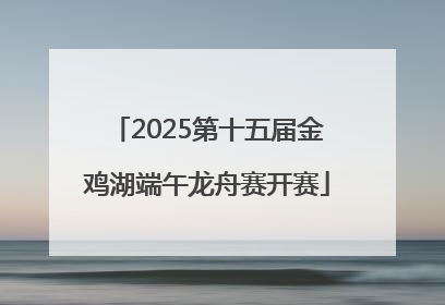 2025第十五届金鸡湖端午龙舟赛开赛