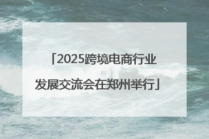 2025跨境电商行业发展交流会在郑州举行