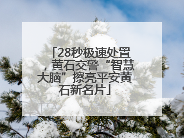 28秒极速处置，黄石交警“智慧大脑”擦亮平安黄石新名片